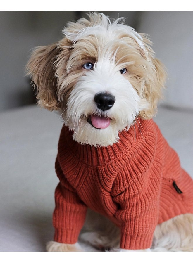 فيت وورم سترة كلاب محبوكة حرارية من Fitwarm، معطف شتوي للكلاب، ملابس للحيوانات الأليفة، سترة ذات رقبة مدورة للكلاب، ملابس للجراء، بدلة رياضية للقطط، أحمر صغير - Image 2