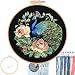 FONNUY Peacock Floral Embroidery Kit Cross Stitch Kits Handmade Crafts with Printed Patterns for Beginner Adults Easy to Follow Color Thread Needlework 8 Hoop Graceful Dancer - Image 2