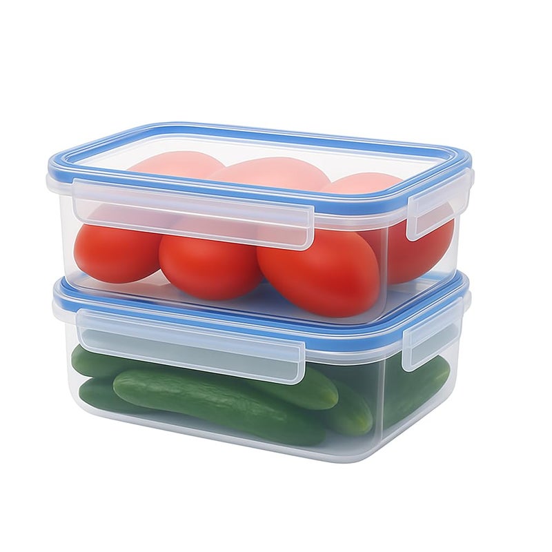 Tribello Food Storage Container with Lid Airtight Lid (81 OZ - 2 Pack)