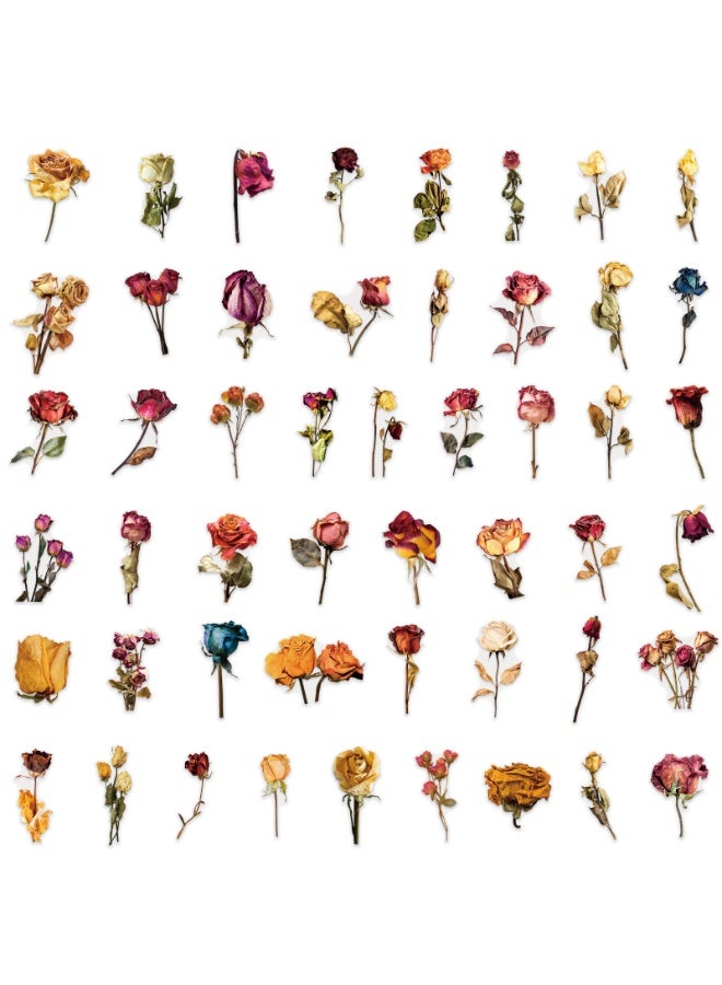 50PCS Transparent Dried Rose Stickers Romantic Forever Flower Stickers for Water Bottle Journals Wedding Decor Gifts Scrapbooking - Image 2