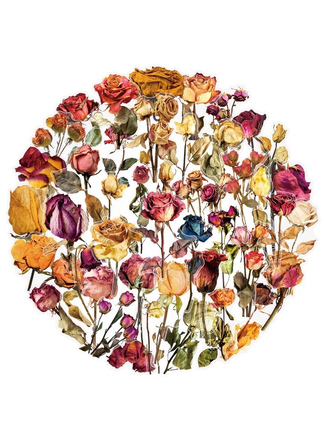 50PCS Transparent Dried Rose Stickers Romantic Forever Flower Stickers for Water Bottle Journals Wedding Decor Gifts Scrapbooking - Image 1
