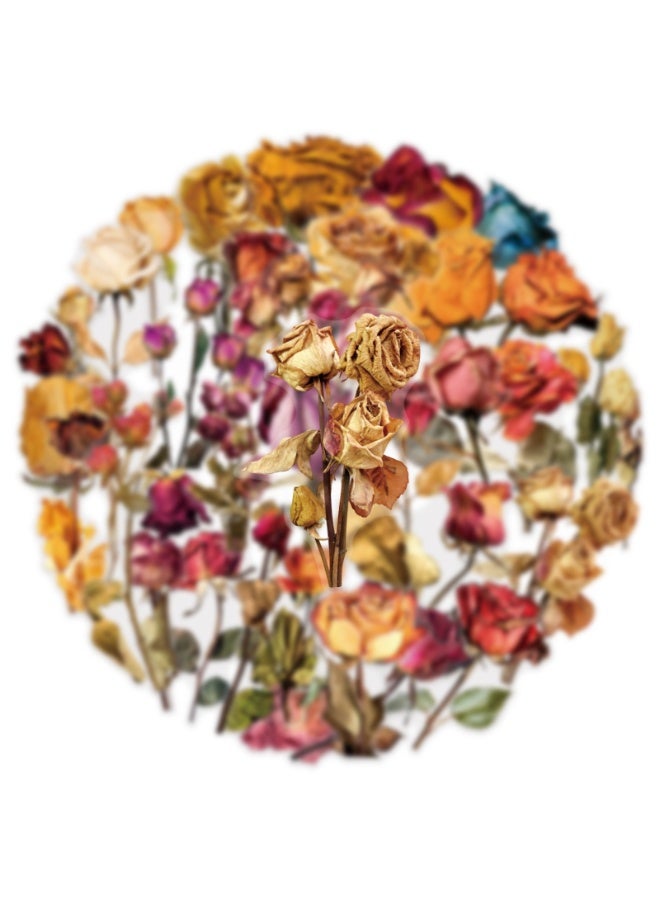 50PCS Transparent Dried Rose Stickers Romantic Forever Flower Stickers for Water Bottle Journals Wedding Decor Gifts Scrapbooking - Image 4