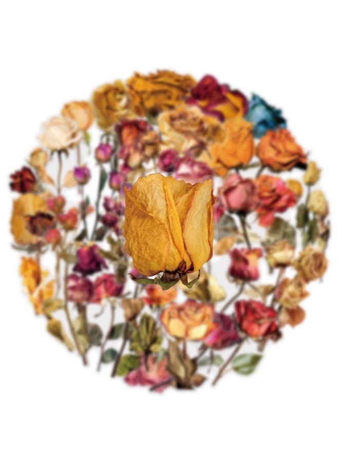 50PCS Transparent Dried Rose Stickers Romantic Forever Flower Stickers for Water Bottle Journals Wedding Decor Gifts Scrapbooking - Image 3