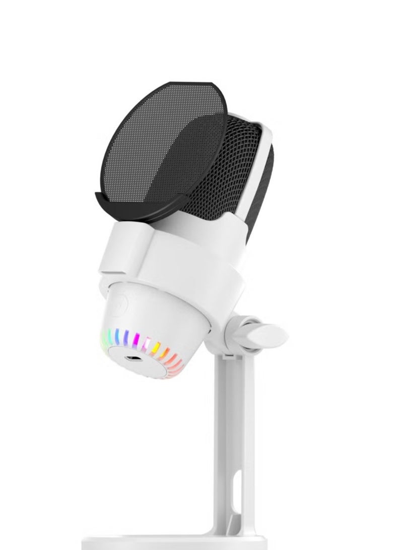Anmi Anmi Condenser Microphone, USB Computer Gaming Mic for/PC/PS4/ PS5/Desktop, Plug & Play, RGB Light, Pop Filter, Studio Microphone for Gaming, Streaming, Recording, Podcasts, Twitch, YouTube, Discord 