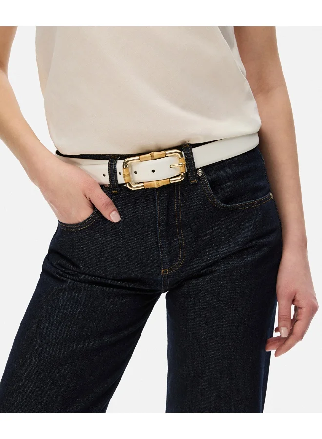 ابيكول حزام