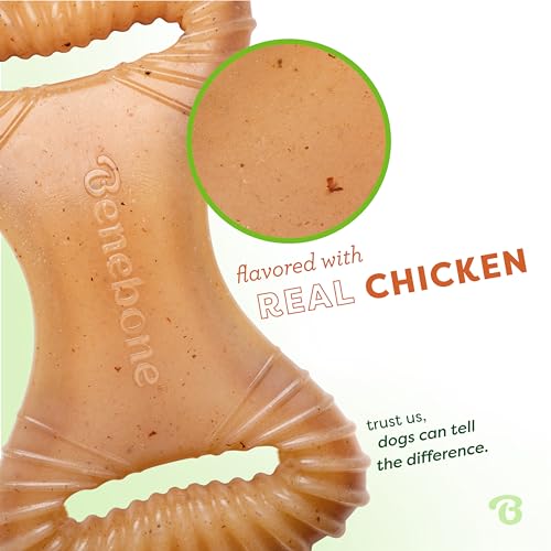 Benebone Dental Durable Dog Chew Toy for Aggressive Chewers, Real Chicken, Made in USA, Medium - Image 2