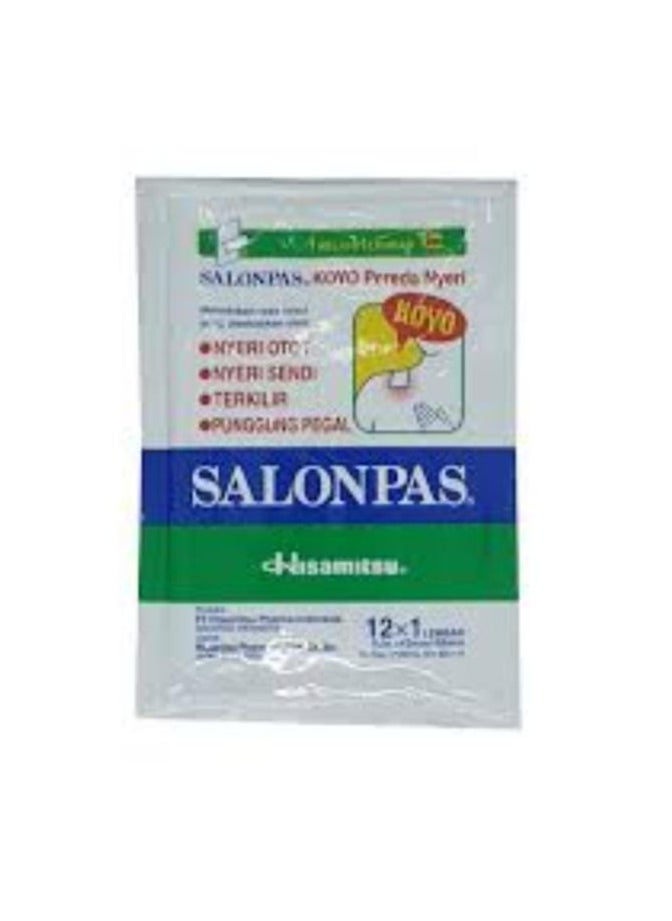 SALONPAS PAIN RELIEVING PATCH 12 PCS - pzsku/ZBC51D6790A73607F6074Z/45/_/1704052643/7a38d512-6749-4dd5-bafe-b45f55e70608