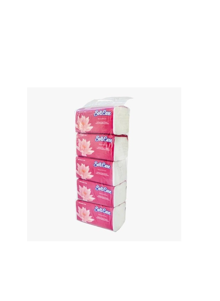 Generic Soft Care Facial Tissue Nylon pack 600 Sheets X 2 Ply (1*5 PACK ) 