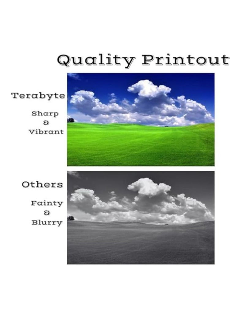 Terabyte خرطوشة حبر أسود 150A لطابعات LaserJet M111 وM141 (عبوة من قطعتين) - Image 2