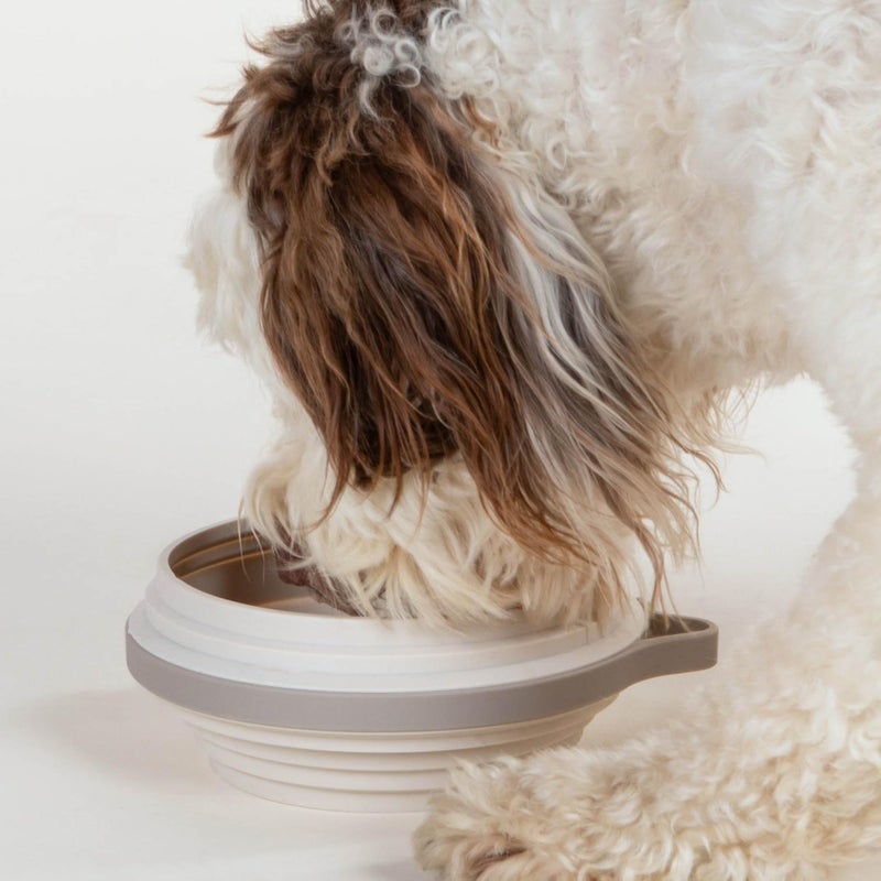 Cleverpup Nomad Large Collapsible Travel Dog Bowl - 4 Cup BPA-Free Silicone for Medium & Large Dogs, Portable, Food & Water, Dishwasher Safe - Sand - Image 2