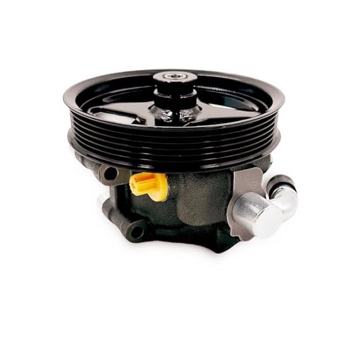 ALADICHE 20312P1 Power Steering Pump with Pulley Compatible with 20032006 Ford Expedition 20042008 F15020062008 Lincoln Mark LT20032006 Navigator for 46L 54L V8