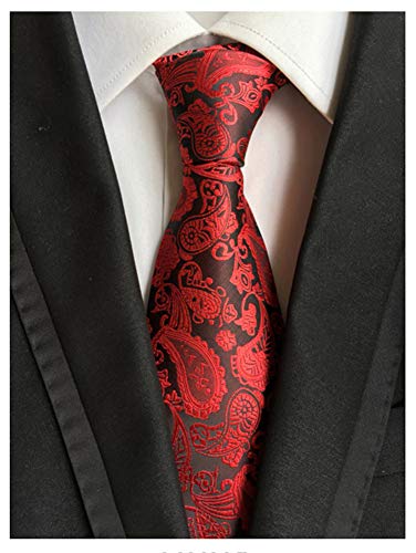 Adulove Men's Necktie Classic Silk Tie Woven Jacquard Neck Ties 6 PCS - Image 4