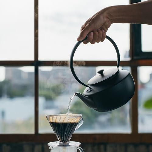 BALMUDA MoonKettle | Electric Kettle with Temp Control (122°F - 212°F) | HOLD & Keep Warm | 900ml (30 fl oz) | Soothing Ambient Light & Sound | Precision Pour Spout | Black - Image 5