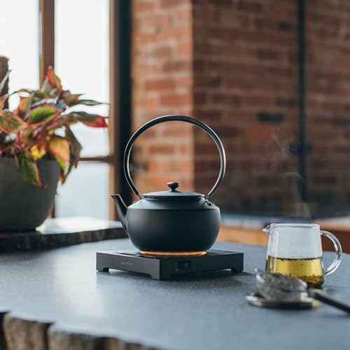 BALMUDA MoonKettle | Electric Kettle with Temp Control (122°F - 212°F) | HOLD & Keep Warm | 900ml (30 fl oz) | Soothing Ambient Light & Sound | Precision Pour Spout | Black - Image 4