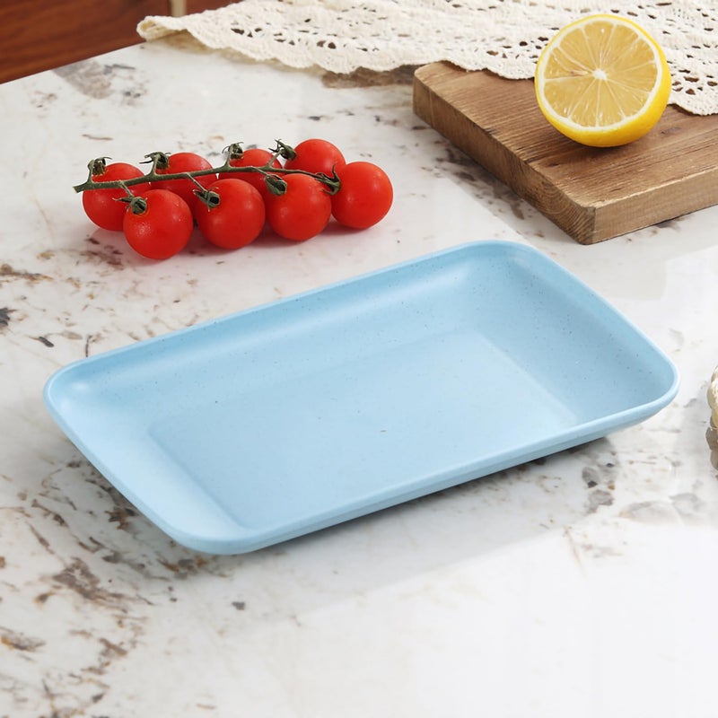 P-PLUS INTERNATIONAL Wheat Straw Plates Unbreakable Plastic Plates Reusable Dishwasher & Microwave Safe Wheat Straw Dinnerware Sets Kid-Friendly for Kitchen Outdoor Camping Salad (Blue, Set of 2) - Image 3