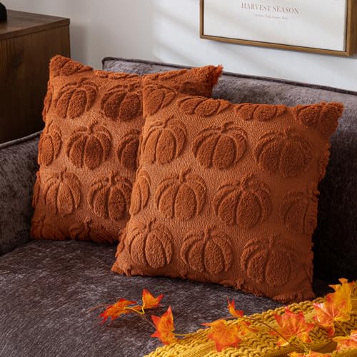 COSIBONO Pumpkin Fall Decorative Throw Pillow Covers 18"x18", Set of 2 Rust Red Soft Faux Fur Pillow Covers for Autumn Harvest, Fluffy Plush Accent Pillow Cases for Farmhouse Couch Cushion Covers - Image 1
