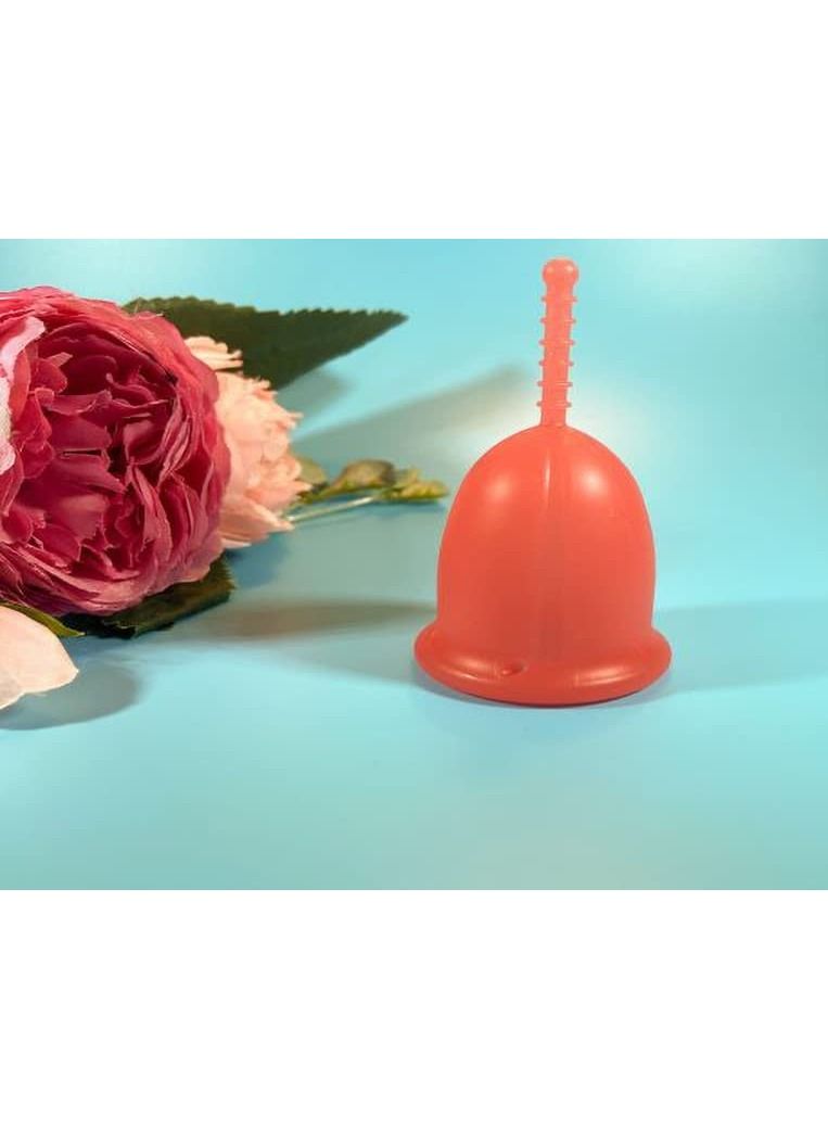 2 in 1 Women's Menstrual Cup Offer