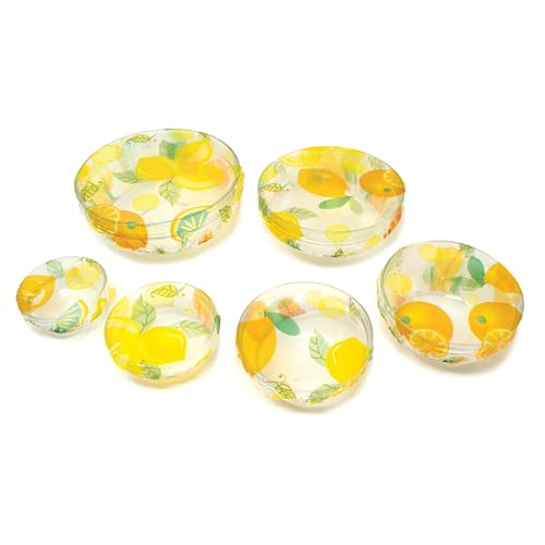Norpro NORPRO Plastic Bowl Covers 6 Piece Set 3Inch to 10Inch Multicolored 