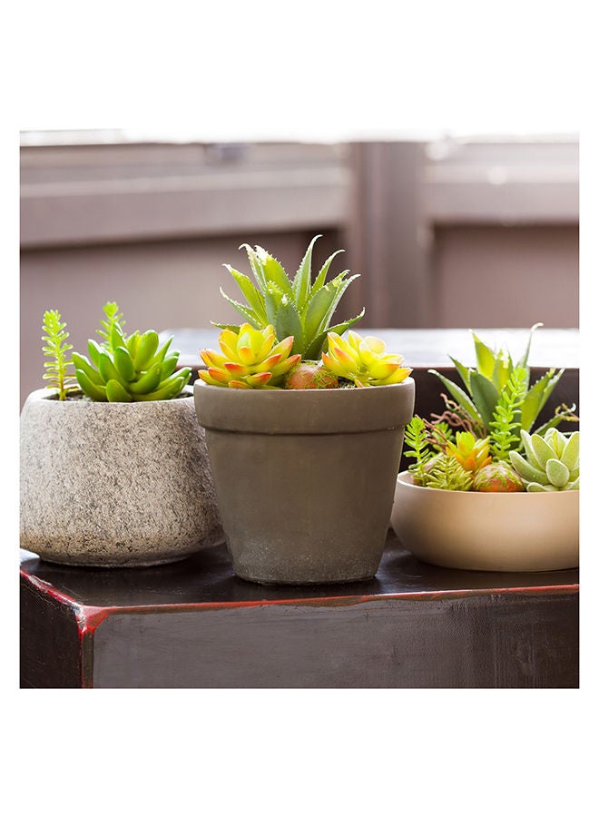 Restaurantware Restaurantware-5.5 x 9 Inch Faux Succulent, 1 Artificial Succulent - In Cement Flower Pot, Use As Table Or Shelf Decor, Centerpiece, Brushed Charcoal Plastic Desk Plant, For Homes Or Weddings