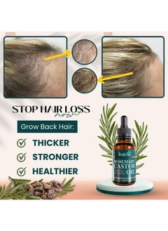 Live Fraiche Live Fraiche Rosemary Oil for Hair Growth (2oz) with Cold Pressed Castor Oil Natural Hair Growth Oil - Rosemary and Castor Oil for Hair Growth -Strengthening Hair Oil for Damaged Hair and Hair Loss  - Image 2