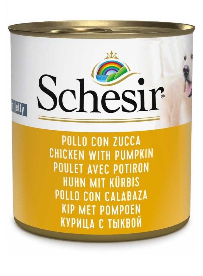 Schesir طعام رطب للكلاب بالدجاج والقرع - Image 1