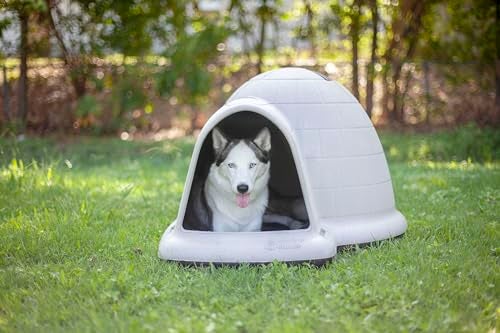 Petmate Indigo Dog Door Large - Image 3