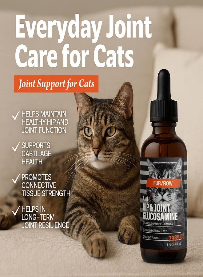 Furrow FUR/ROW Cat Hip & Joint Glucosamine Supplement, Chicken Gravy Flavor – Liquid Glucosamine with MSM, Chondroitin, Taurine & Hyaluronic Acid – Supports Mobility & Joint Comfort in Cats - Image 2