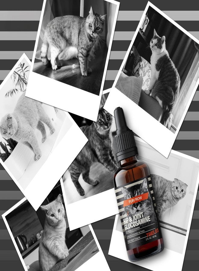 Furrow FUR/ROW Cat Hip & Joint Glucosamine Supplement, Chicken Gravy Flavor – Liquid Glucosamine with MSM, Chondroitin, Taurine & Hyaluronic Acid – Supports Mobility & Joint Comfort in Cats - Image 5
