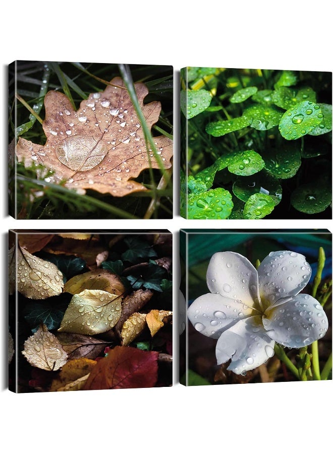 Artscope 4 Pieces Wall Art Canvas Prints - Raindrops, Leaves and Flowers Picture Painting - Modern Wall Artwork Framed for Gifts Bathroom Home Kitchen Office Decor - 30 x 30 CM - Image 1