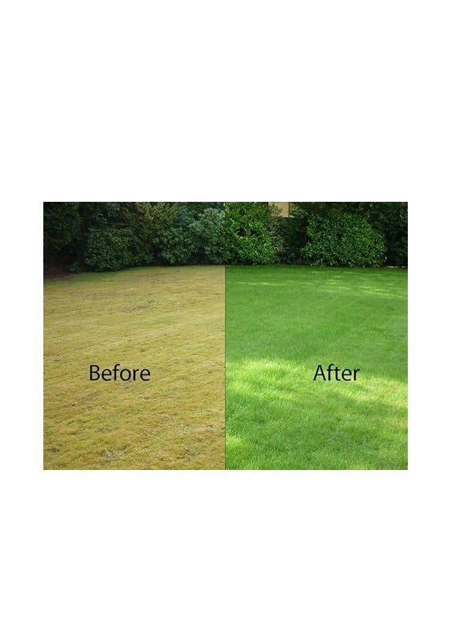 PREMIUM Magnesium Sulphate 0-0-0+16Mg+13S for Garden Care (Fully water-soluble Epsom salt) 500gram - Image 3