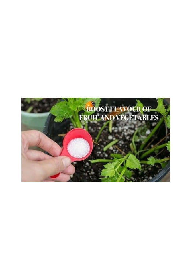 PREMIUM Magnesium Sulphate 0-0-0+16Mg+13S for Garden Care (Fully water-soluble Epsom salt) 500gram - Image 2