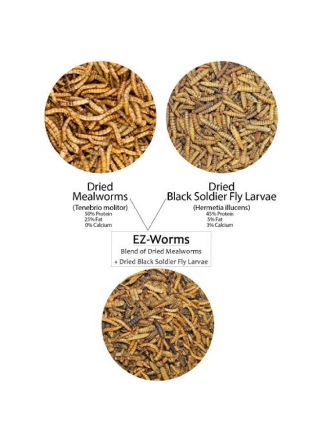EXOTIC NUTRITION EZ-Worms 1.41 oz  - Image 2