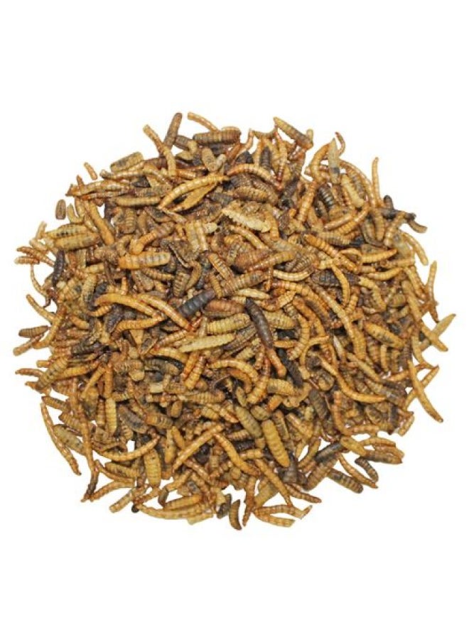 EXOTIC NUTRITION EZ-Worms 1.41 oz  - Image 3