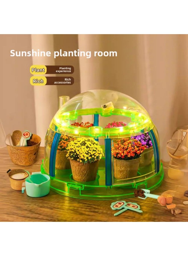 Sunshine Room Planting Bar Children's Science Elementary School Student Experiment Suit Plant Growth Observation Box Mini Vegetable Planting Toy-Specifications:ZW008Y  - Image 3