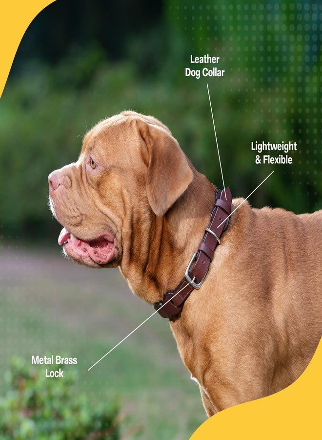 ADIL'S Adil’S Harness Leather Personalized Dog Collar for Large Medium Small Dogs Neck Collar with Customized Dog Name, Neck Size: 20'' to 24'', Size: L Color: Chestnut - Image 5