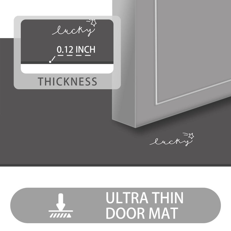 LYGLIGH Ultra Thin Door Mat Indoor Entrance, 1/10 in Thin Door Mats for Inside Entry, Non-Slip Rubber Backing Washable Doormat, Fade Resistant, Absorbent Dirt Trapper, 24"X16", Dark Grey - Image 2