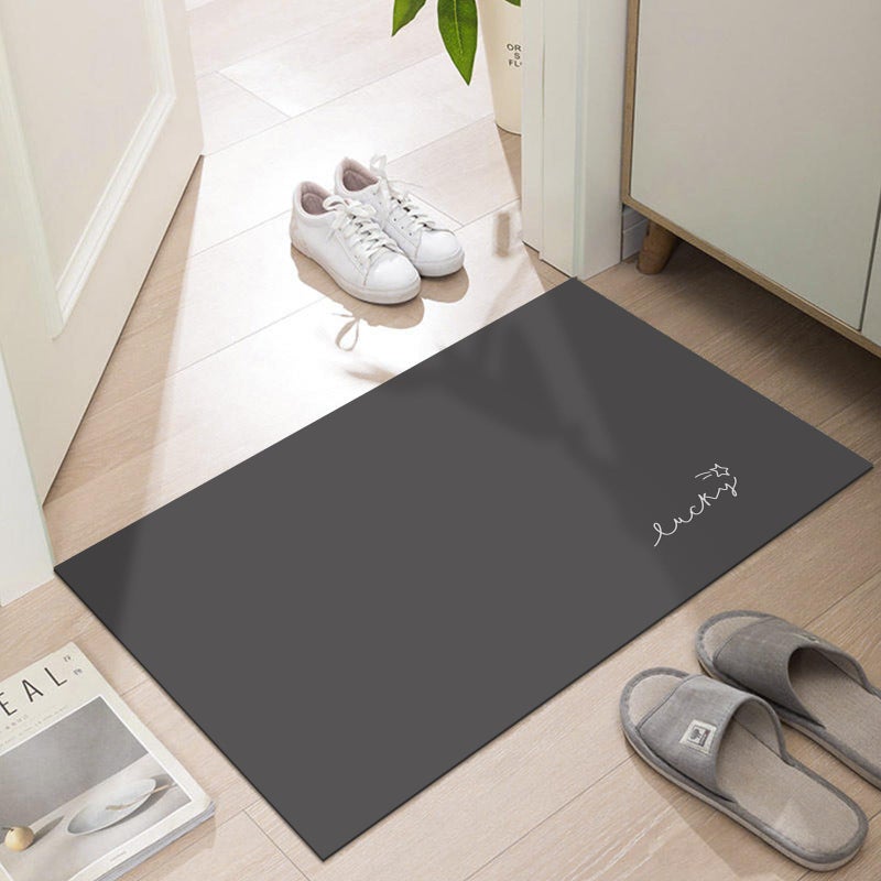 LYGLIGH Ultra Thin Door Mat Indoor Entrance, 1/10 in Thin Door Mats for Inside Entry, Non-Slip Rubber Backing Washable Doormat, Fade Resistant, Absorbent Dirt Trapper, 24"X16", Dark Grey - Image 1