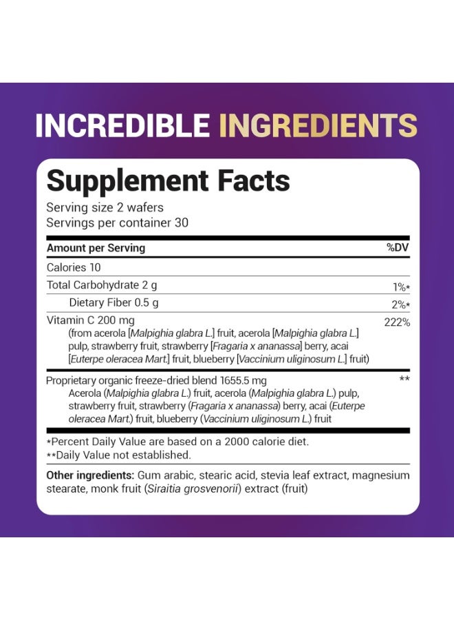 Dr.Berg Vitamin C Complex Whole Food (60 Chewable) 100% Natural Vitamin C from Just 4 Berries, Non-GMO - Image 2