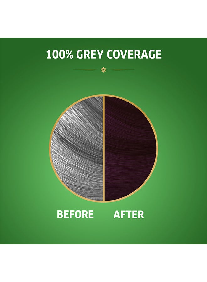 WELLA Koleston Naturals Hair Color 3/66 Violet 50+50+10ml - Image 3