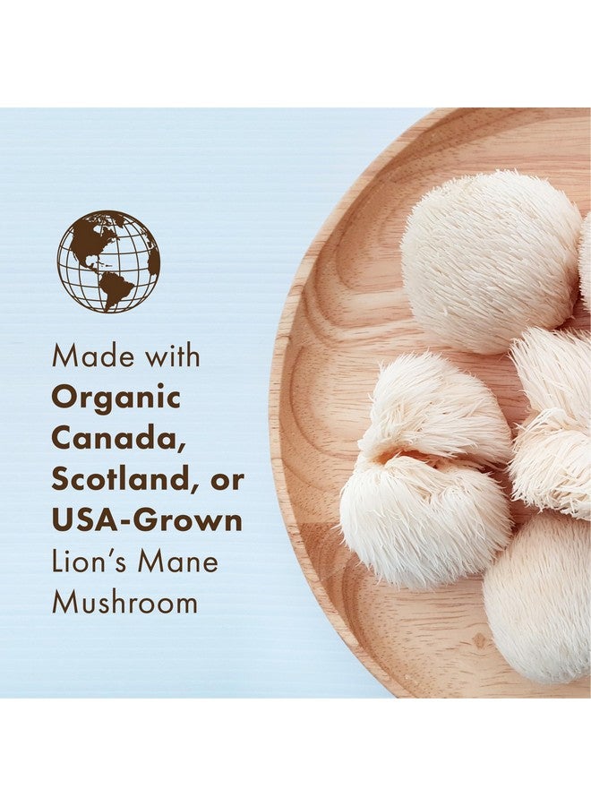 PURE ESSENCE LABS MyPure Lion's Mane 8X - Max Strength Brain Support with 100% Fruiting Body Organic Lion's Mane for Ultimate Cognitive Performance, Focus, and Mental Clarity, 60 Capsules - Image 3