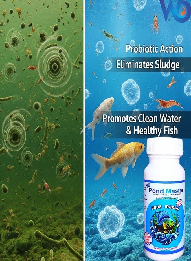 بروبيوتيك أحواض السمك من دبليو دي ووتر ديكورز - 100 غرام | معالجة طبيعية للمياه ومزيل للرواسب | بكتيريا نافعة لأحواض المياه العذبة والمالحة | يقلل الأمونيا والنتريت والروائح - Image 5