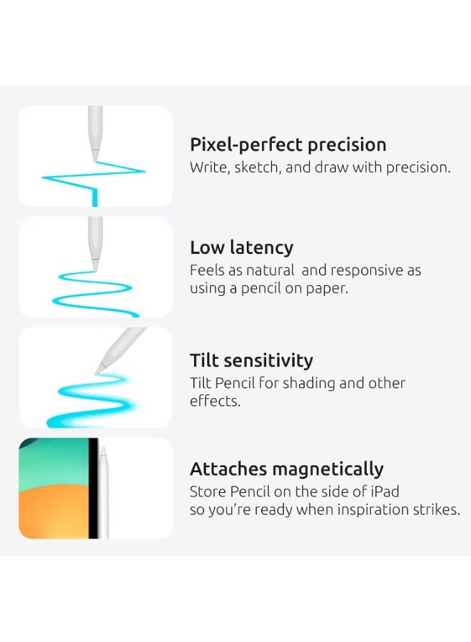 قلم ستايلس نشط متوافق مع Apple iPad (2018–2024)، يدعم Palm Rejection وحساسية الإمالة، قلم رقمي مغناطيسي للكتابة والرسم - Image 2