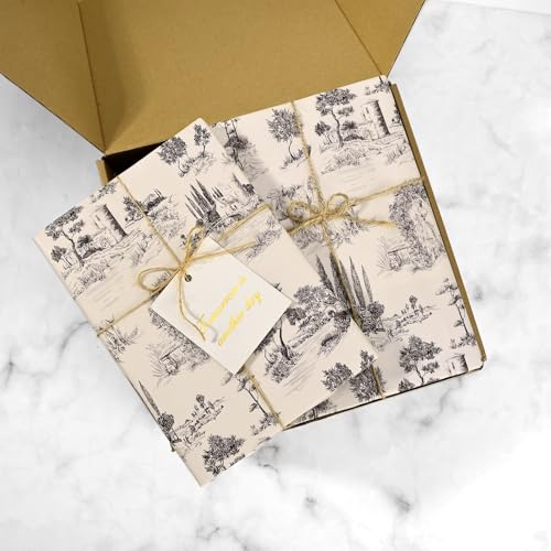 Sanixin 100Pcs Vintage French Tissue Paper for Gift Wrapping Toile Tissue Paper for Gift Bags Decorative Art Tissue for Birthday Party Bridal Shower Craft Supplies - Image 4