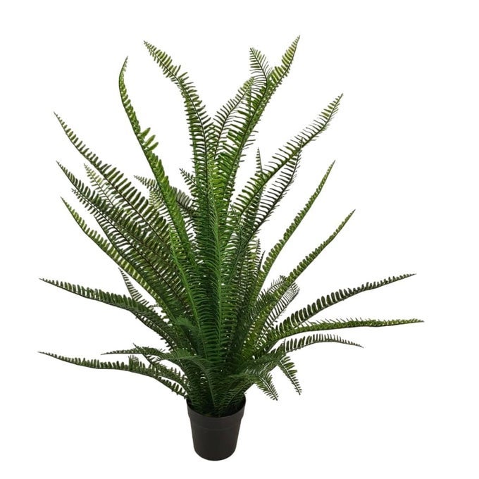 FOX FERN Artificial Real Touch Imported Fern Potted Plant Elevate Any Corner of Your HomeGarden Best for Gifting Party Wedding and Home Decor Ht 70CM 70CMFP