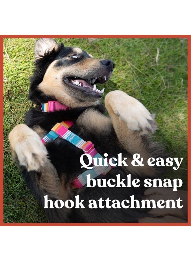 Kano KANO Dog Collar I Fully Adjustable and Made with Durable Polyester, Metal D-Ring and a Quality Buckle I Training, Walking, and Jogging Tool for Small, Medium, and Large Breeds I Crave  - Image 5