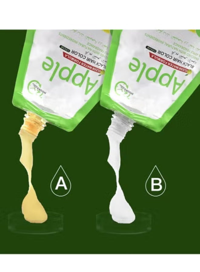 Black Ammonia Free Hair Color Cream - 500 ml Cream + 500 ml Developer - Apple (Natural Black ) - Image 2