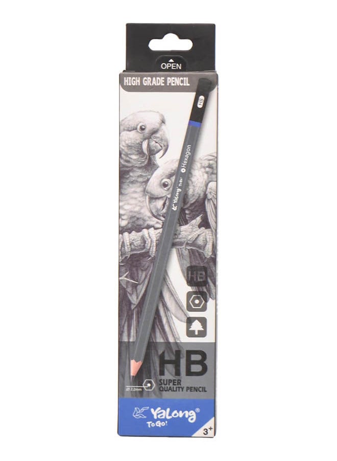 YALONG Pencil HB Suitable For Classroom Grey  - Image 2