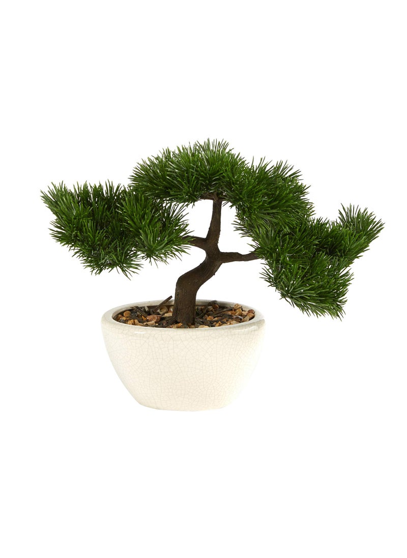 Nearly Natural Nearly Natural 10in. Cedar Bonsai Artificial Tree in Decorative Planter  Green  - Image 1