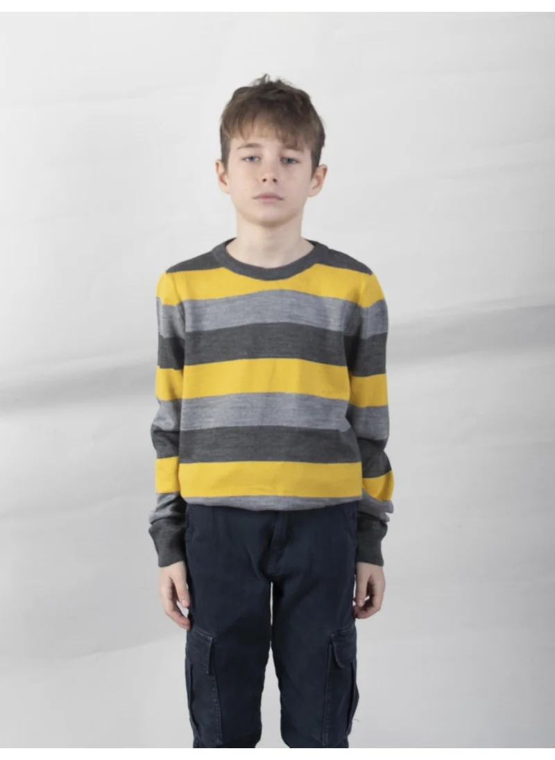 الكسندر جاردي Striped Boy's Sweater (CCK-22-18937)