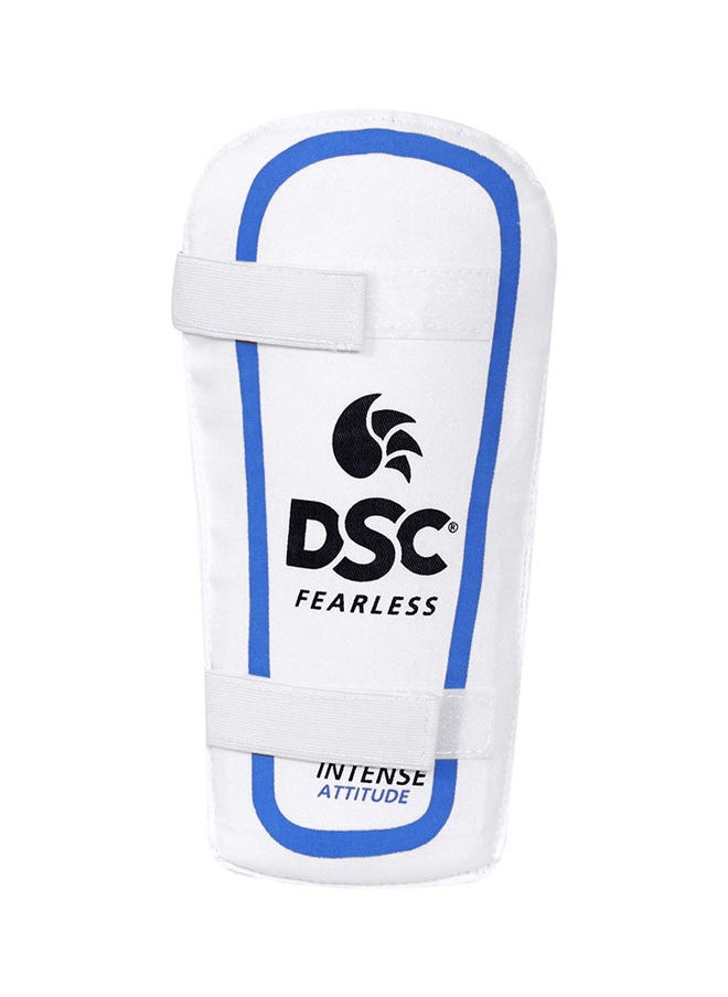 DSC - Premium Cricket Complete Kit with Helmet, Kashmir Willow Bat for Mens Size - Mens, Right Hand - Image 1